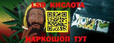 твердый Сланцы