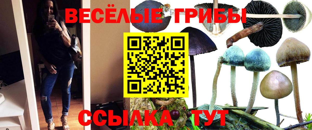 Псилоцибиновые грибы прущие грибы  Вход с VPN  Псков  Галлюциногенные грибы прущие грибы 